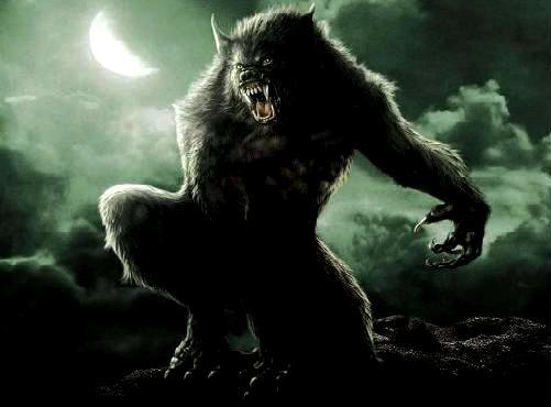 loup garou